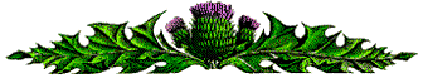 thistle